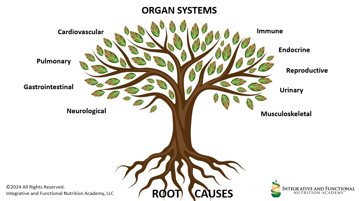 Organ systems and root causes tree — functional medicine addresses the root cause of symptoms across the body's systems
